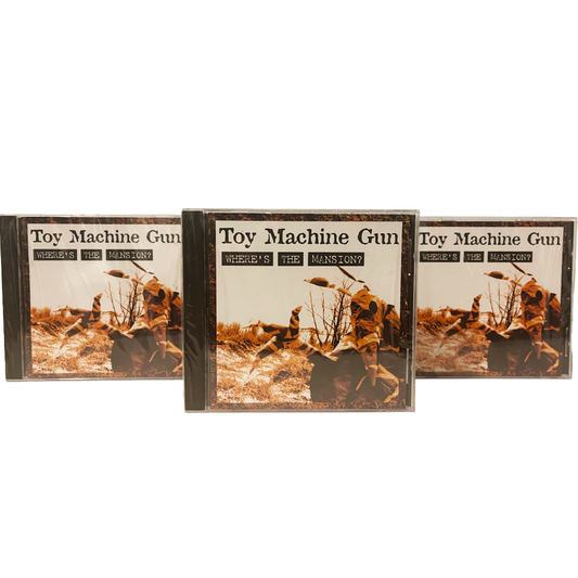 Where's the Mansion by Toy Machine Gun front of CDs